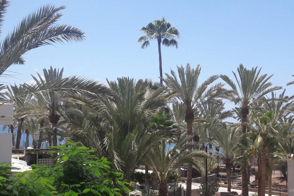 Guayero, Bel Appartement A 50M De La Mer Los Cristianos  Ngoại thất bức ảnh